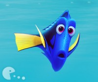 Finding Dory Forgetful Friend Adventure