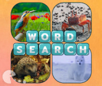 Word Search Pictures