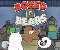 Boxed Up Bears