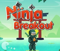 Ninja Breakout Ninja Breakout