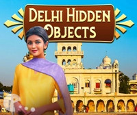 Delhi Hidden Objects