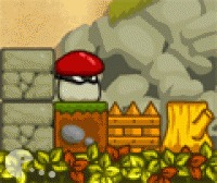 Ninja mushroom