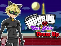 Miraculous Ladybug Cat Noir Dress Up